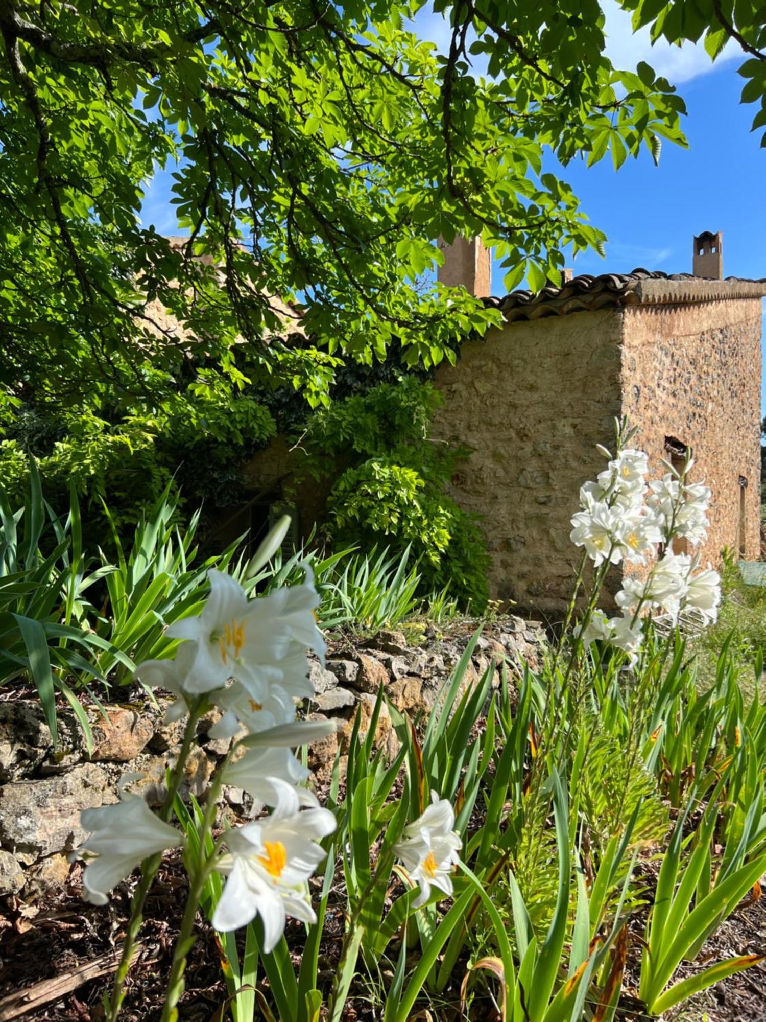 Charmant Appartement Independant Au Sein D'Un Mas Provencal Aups Eksteriør billede